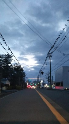 DSC_0408.JPG