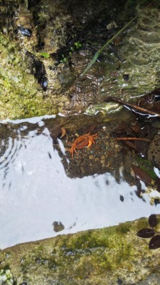 DSC_2774.JPG