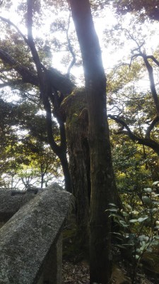 DSC_3016.JPG