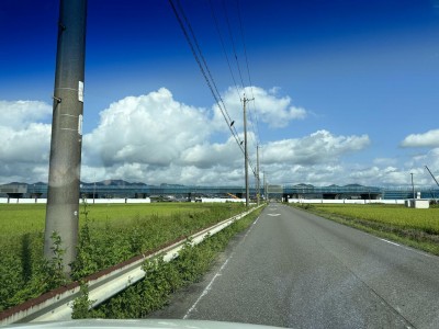 IMG_1662.jpeg